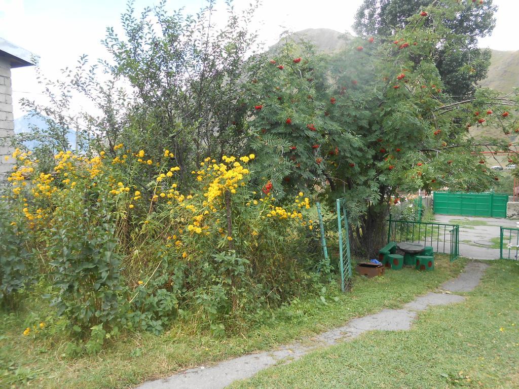 Panorama Kazbegi Hotel Екстериор снимка